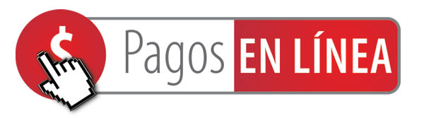 PAGOS-EN-LINEA $(1)